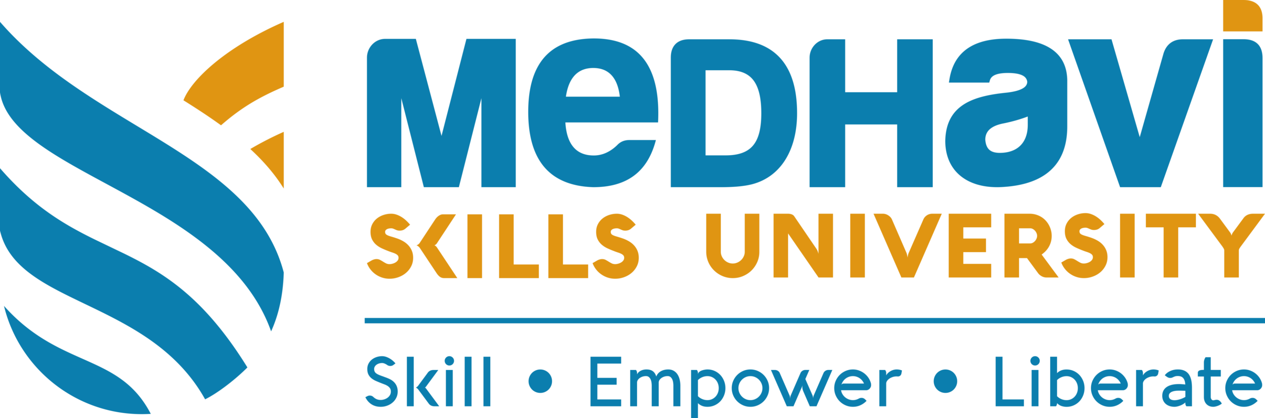 Medhavi-University.png